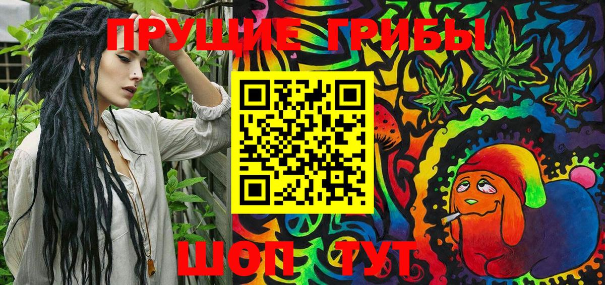 Качканар  Псилоцибиновые грибы Psilocybine cubensis  Вход с VPN 